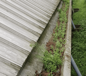 Happy customers in Burghfield Common who trust The Roof Moss Cleaners for gutter cleaning services